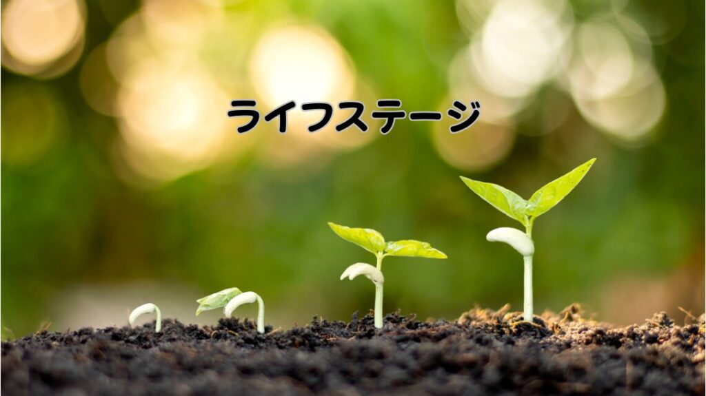 一人暮らしのつみたてNISA